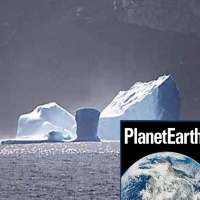 Antarctica, wild geese and ash plumes