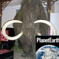 Neanderthal mammoth hunters in Jersey