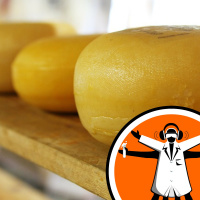 Industrial yeast impairs gut wound healing