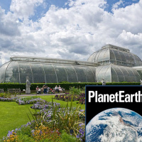 Kew Gardens, Antarctica and ancient trees