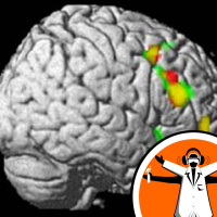 How Intelligence Happens