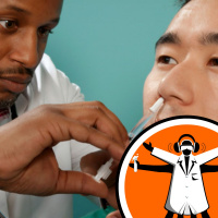 Inhaled vaccines cross from lungs to blood