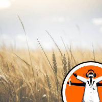 Making crops more light-sensitive