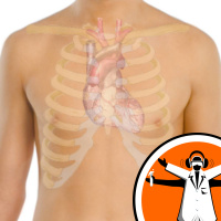 Cyborg Cardiac Patch