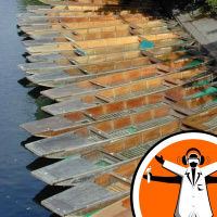 The Science of St Johns