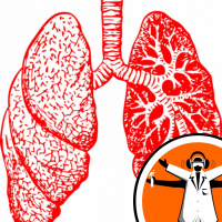 Asthma: mapping the human lung