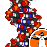 Breaking the GM Taboo