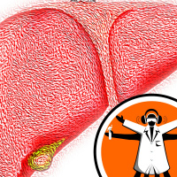 Artificial liver progress