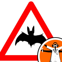 Listening to the bat highway code