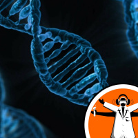 How Random are DNA Mutations?