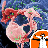 A powerful duo against HIV