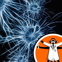 Motor neuron disease: a link to cholesterol