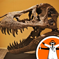 75 million year-old Dinosaur Cells found