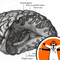 New stroke rehabilitation technique