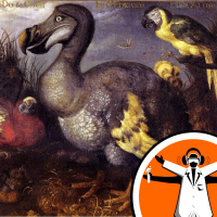 Selecting Species to Save