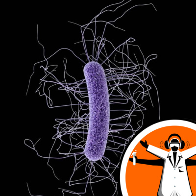 Naked Scientists Special Editions Podcast