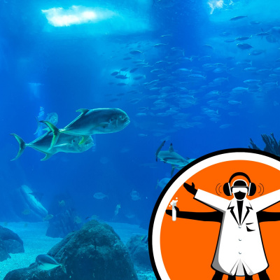 Naked Scientists Special Editions Podcast