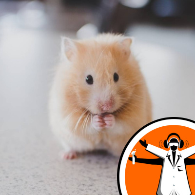 Naked Scientists Special Editions Podcast