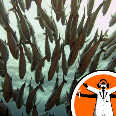 Naked Scientists Special Editions Podcast