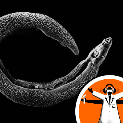 Naked Scientists Special Editions Podcast