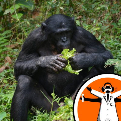 Naked Scientists Special Editions Podcast