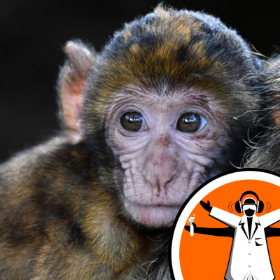 Naked Scientists Special Editions Podcast