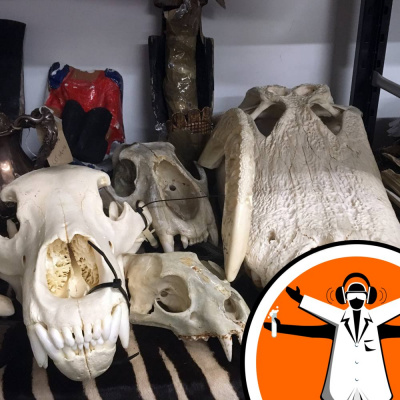 Naked Scientists Special Editions Podcast