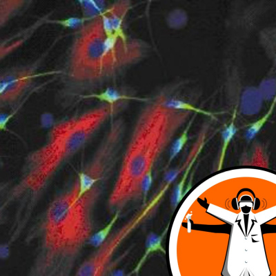 Naked Scientists Special Editions Podcast