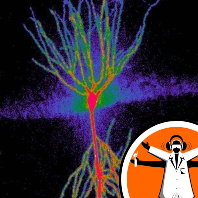 Naked Scientists Special Editions Podcast