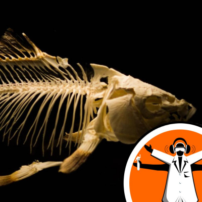 Naked Scientists Special Editions Podcast