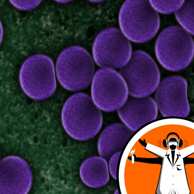 Naked Scientists Special Editions Podcast