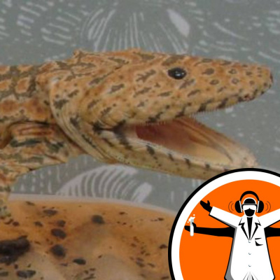 Naked Scientists Special Editions Podcast