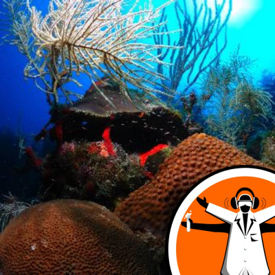 Naked Scientists Special Editions Podcast