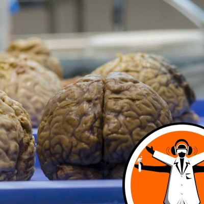 Naked Scientists Special Editions Podcast