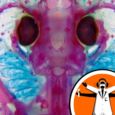 Naked Scientists Special Editions Podcast