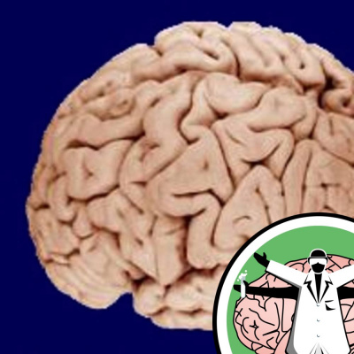 Naked Scientists Special Editions Podcast