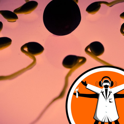 Naked Scientists Special Editions Podcast