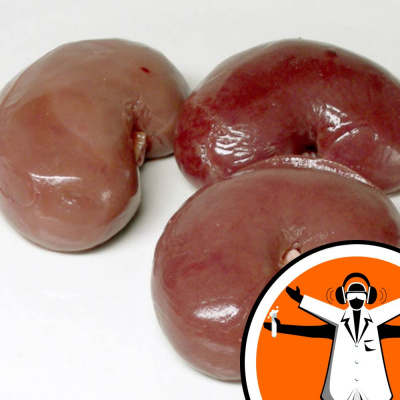 Naked Scientists Special Editions Podcast