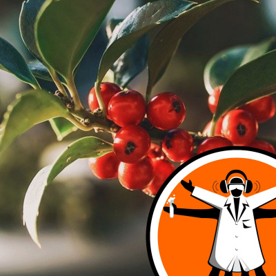 Naked Scientists Special Editions Podcast