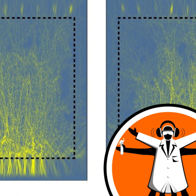 Naked Scientists Special Editions Podcast