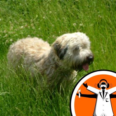 Naked Scientists Special Editions Podcast