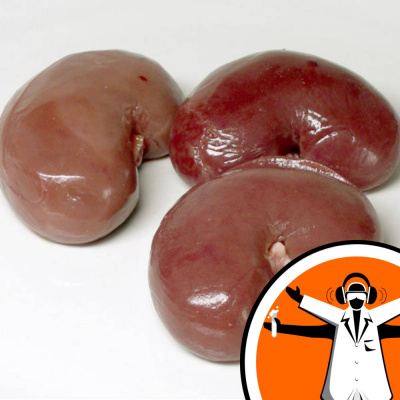 Naked Scientists Special Editions Podcast