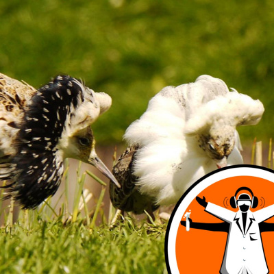 Naked Scientists Special Editions Podcast