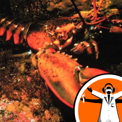 Naked Scientists Special Editions Podcast