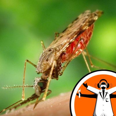 Naked Scientists Special Editions Podcast