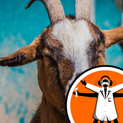 Naked Scientists Special Editions Podcast