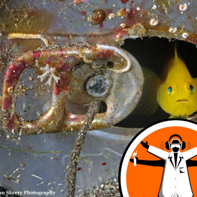 Naked Scientists Special Editions Podcast