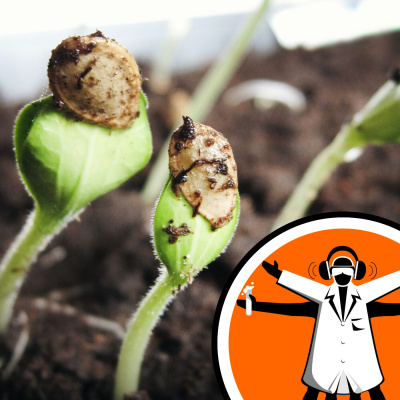 Naked Scientists Special Editions Podcast