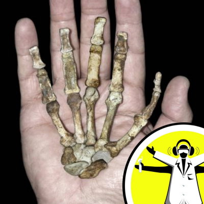 Naked Scientists Special Editions Podcast