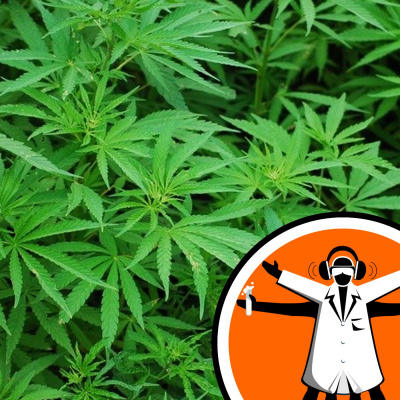 Naked Scientists Special Editions Podcast